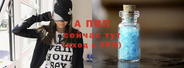 индика Елабуга