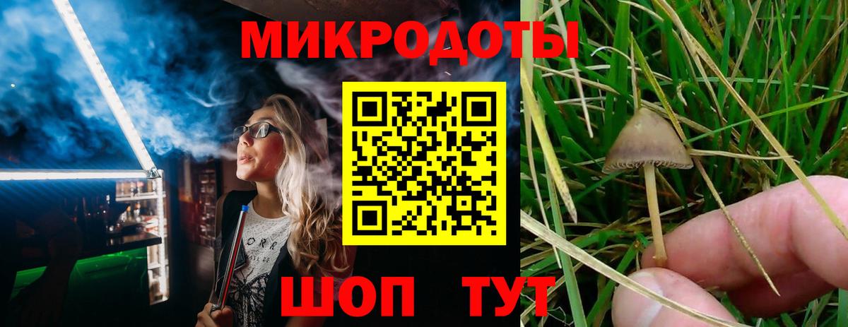 Псилоцибиновые грибы мицелий Батайск